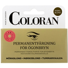 Permanent Eyebrow Color 1 set Cendré