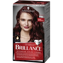 Brillance - Intensive Color Creme No. 876