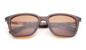 Coast - Shiny Brown